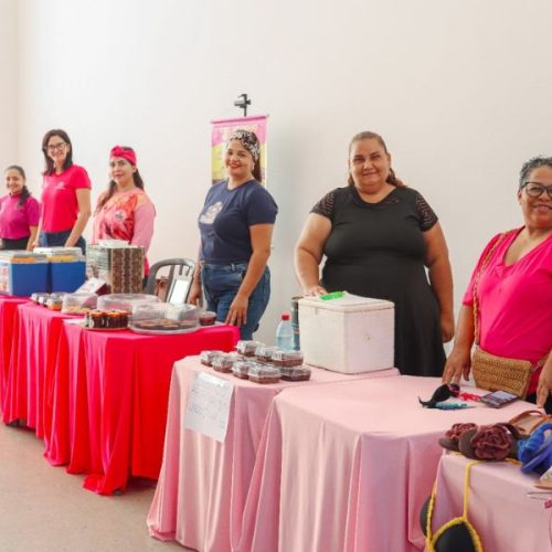 Feira das Mulheres Empreendedoras movimenta Senador Canedo com incentivo ao protagonismo feminino