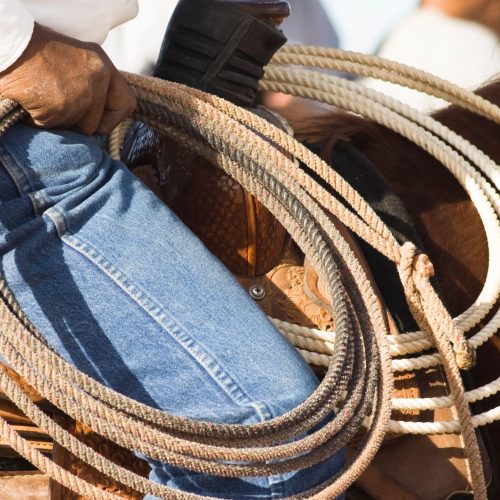 Caldazinha celebra Rodeio Show com grandes nomes sertanejos e ação solidária. Entretenimento e doação se unem