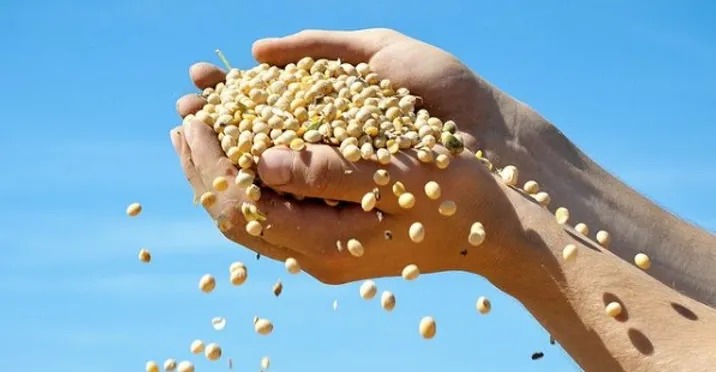 Goiás tem 4 milhões de hectares de pastagens degradadas com potencial para virar lavouras, diz secretário