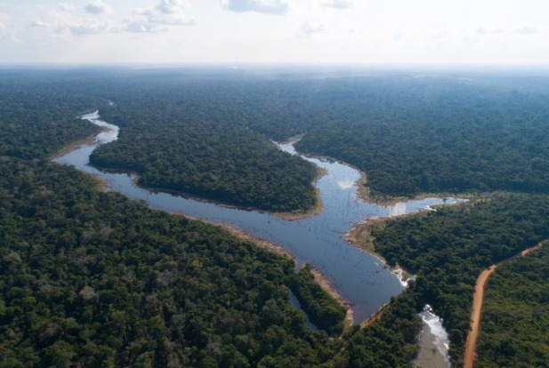 Queda de 18% no desmatamento em junho não impede aumento anual na Amazônia