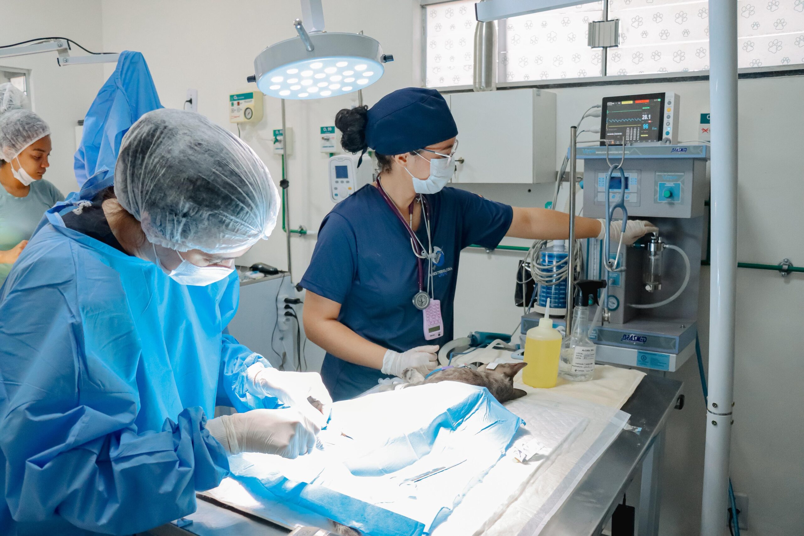 Senador Canedo reforça cuidado com a saúde animal em mutirão de castração do Novembro Azul Pet