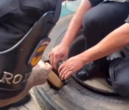 Operação da Rotam recupera veículo roubado e prende sete pessoas suspeitas de envolvimento por tráfico de drogas em Senador Canedo