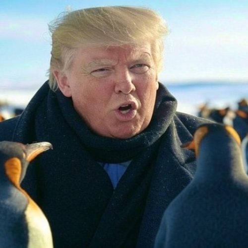 Trump impõe tarifa a ilha sem habitantes e internet reage com memes