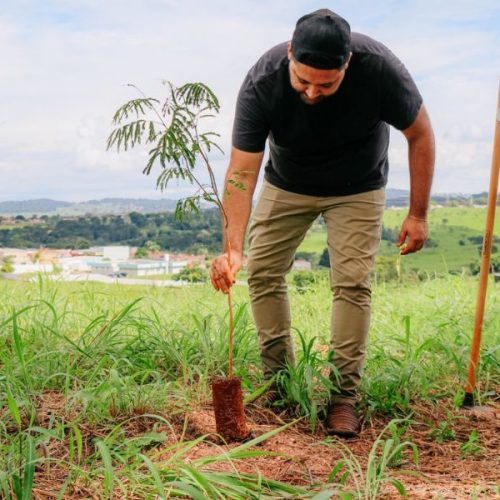 AMMA realiza plantio participativo de mudas no Residencial Flor do Ipê, em Senador Canedo
