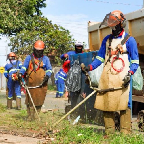 Serviços de roçagem avançam e reforçam manutenção urbana em Senador Canedo