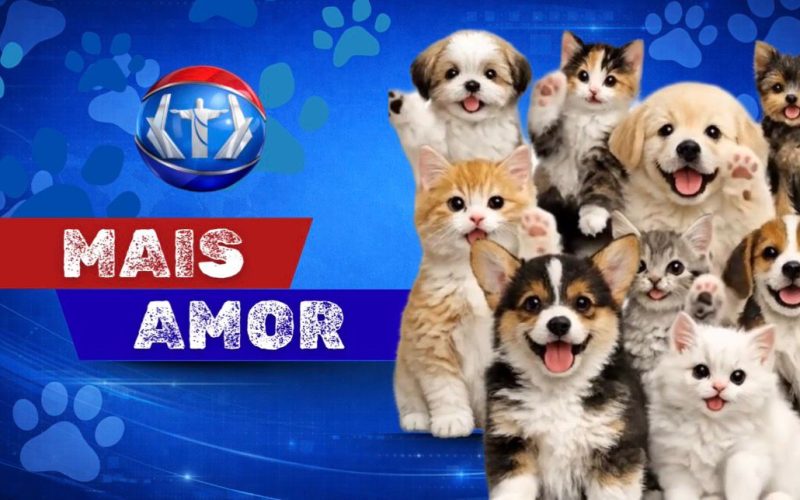 Quadro Mais Amor, adote um amiguinho!