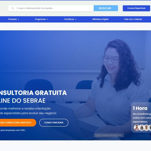 Sebrae cria página de Consultoria Online gratuita voltada a empreendedores goianos