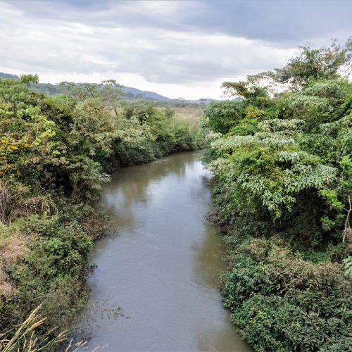 Tese da UEG sobre superbactérias em rios goianos vence Prêmio Capes 2025