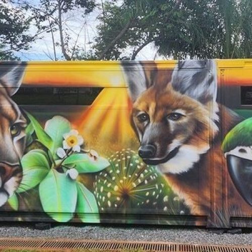 Cetas-GO recebe laboratório de genética para reforçar resgate e combate ao tráfico de animais silvestres