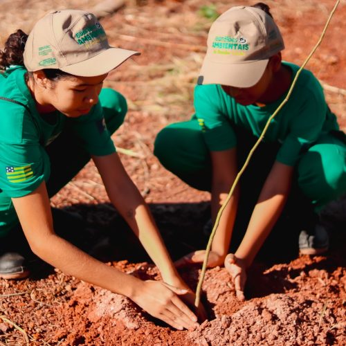 Prefeitura de Senador Canedo divulga lista de aprovados para o Projeto Guardiões Ambientais