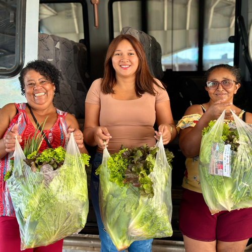 Prefeitura de Senador Canedo garante alimentação saudável a famílias com distribuição de kits de hortaliças