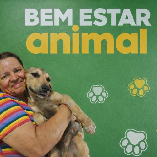 Adoções responsáveis garantem novos lares a cães e gatos em Senador Canedo