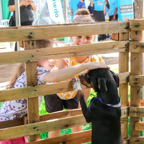 Evento de adoção e cuidados com pets movimenta Parque São Francisco neste domingo