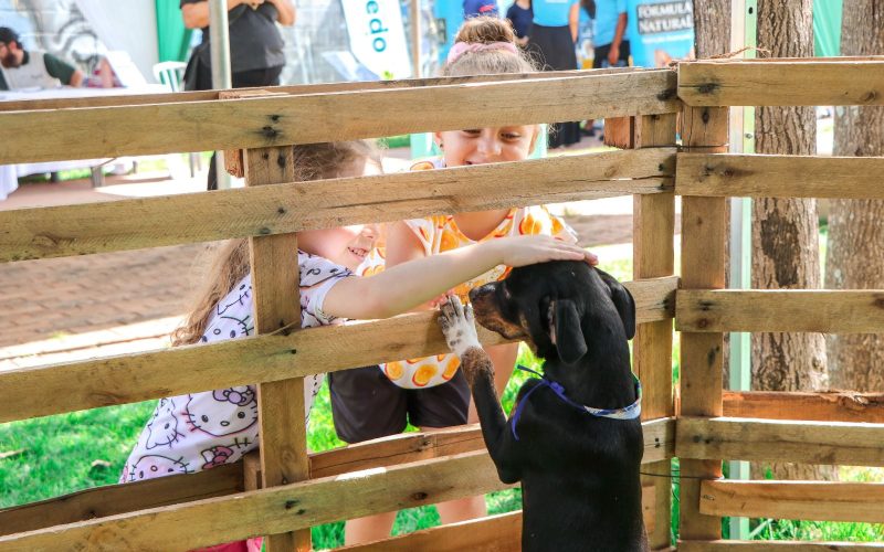 Evento de adoção e cuidados com pets movimenta Parque São Francisco neste domingo