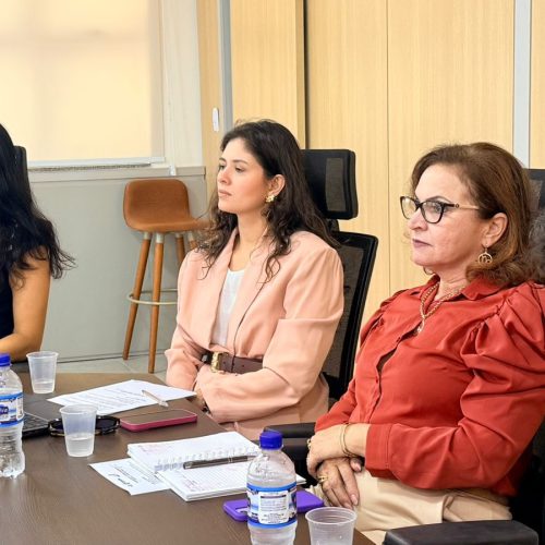 Comitê avança na construção do Plano da Primeira Infância em Senador Canedo