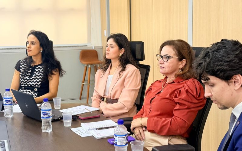 Comitê avança na construção do Plano da Primeira Infância em Senador Canedo
