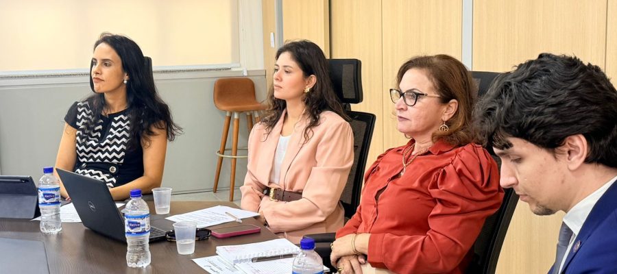 Comitê avança na construção do Plano da Primeira Infância em Senador Canedo