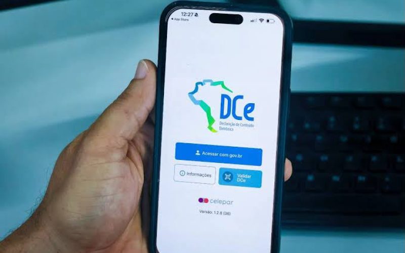 Goiás libera declaração eletrônica para transporte de mercadorias