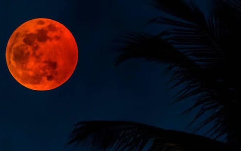 Brasil inteiro poderá acompanhar eclipse lunar em agosto; saiba quando observar