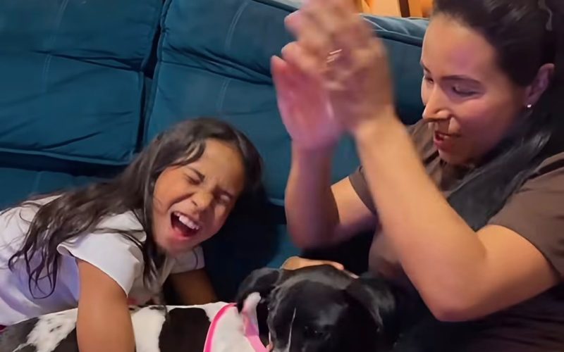 Cãozinho “Dipirona” ganha um novo lar após duas semanas à espera do tutor em UPA de Goiânia