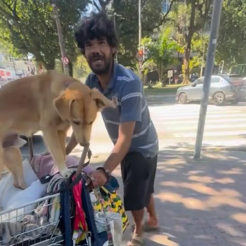 Mesmo vivendo nas ruas, homem emociona a internet pelo cuidado com seus dois cães