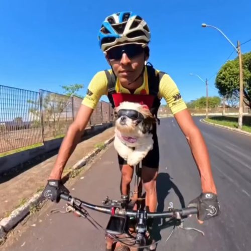Bebel rouba a cena: ciclista transforma passeios de bike com seus cães em conteúdo que conquista as redes