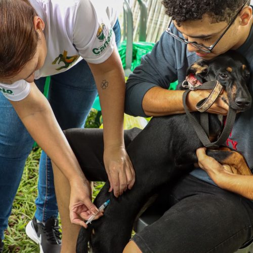 Senador Canedo realiza Campanha de Vacinação Antirrábica neste sábado (12)