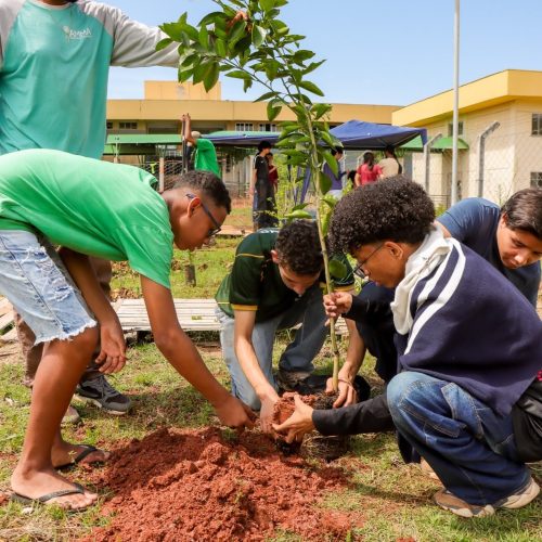 AMMA leva mais de 50 mudas e amplia área verde do IFG em Senador Canedo