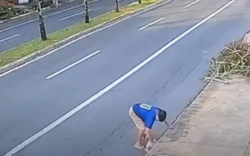 Cachorra é resgatada de bueiro e homem de 65 anos é detido por suspeita de maus-tratos em Goiânia