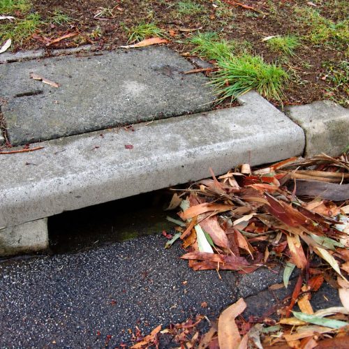 Prefeitura alerta para riscos do descarte irregular de resíduos durante as chuvas