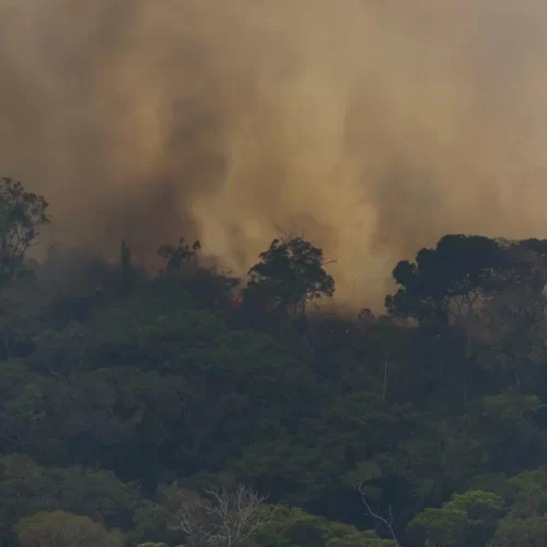 Fumaça das queimadas pode causar 1,4 milhão de mortes por ano até 2100, alertam estudos