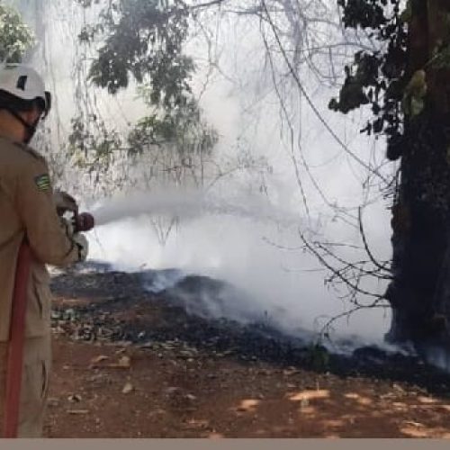 Goiânia lança plano contra queimadas com brigada municipal e aplicativo para denúncias