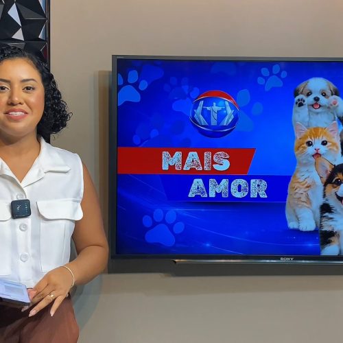 Quadro Mais Amor: adoção responsável