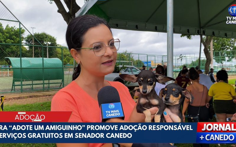 Feira “Adote um Amiguinho” garante novos lares e promove saúde animal