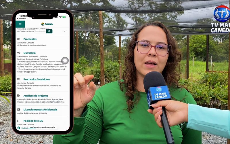 Período chuvoso favorece o plantio de mudas e o fortalecimento da arborização em Senador Canedo