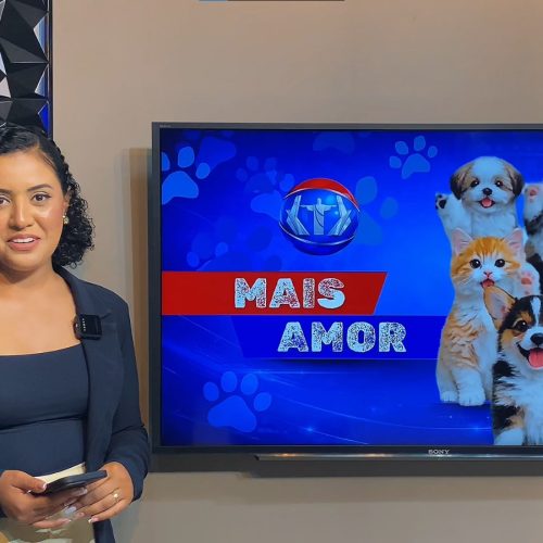 Quadro Mais Amor incentiva adoção responsável de cães e gatos resgatados em Senador Canedo