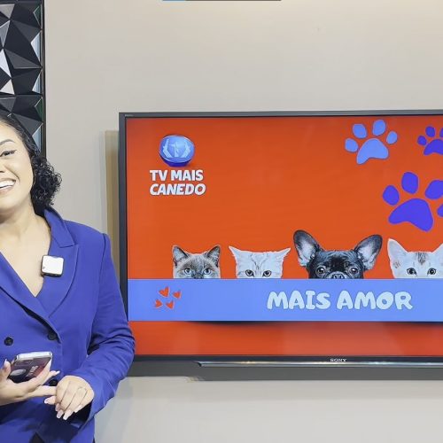 🐶❤️💙Quadro Mais Amor – Adote um amiguinho