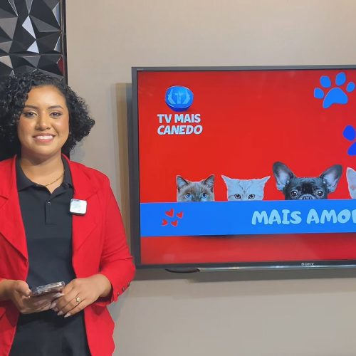 Quadro Mais Amor Incentiva Adoção Responsável de Cães e Gatos Resgatados em Senador Canedo