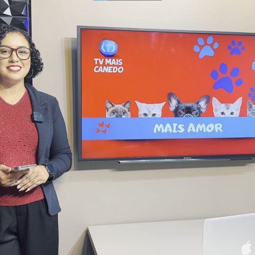 🐶❤️💙 Quadro Mais Amor – Adote um amiguinho
