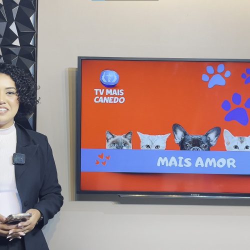 🐶❤💙Quadro Mais Amor – Adote um amiguinho