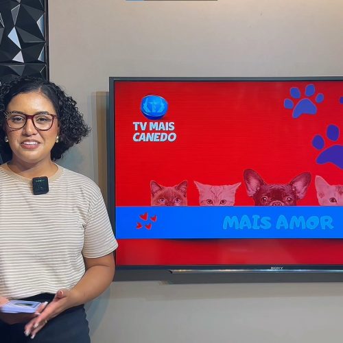 🐶❤️💙Quadro Mais Amor – Adote um amiguinho