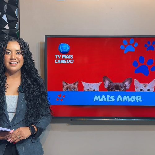 🐶❤️💙 Quadro Mais Amor – Adote um amiguinho