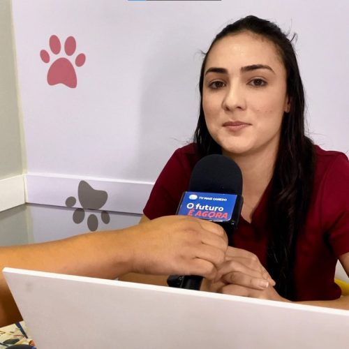 Cuidados Redobrados com os Pets no Frio e Tempo Seco