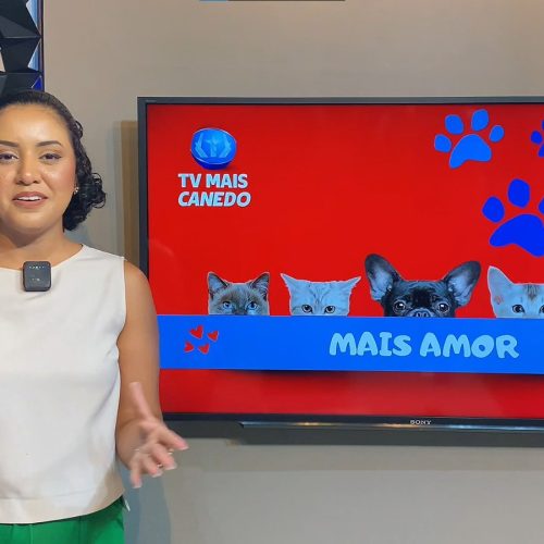 🐶❤💙Quadro Mais Amor – Adote um amiguinho.