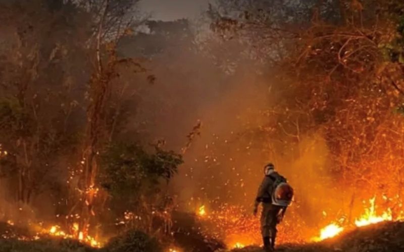 Queimadas já devastaram 5,6 mil km² em Goiás em 2025, área oito vezes maior que Goiânia
