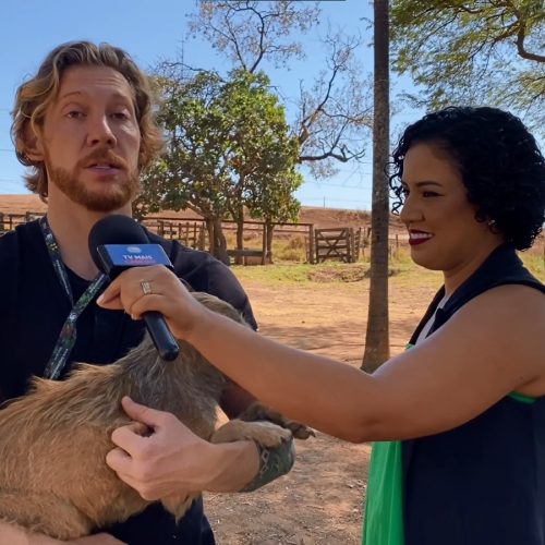 Vacinação antirrábica gratuita para cães e gatos em Senador Canedo