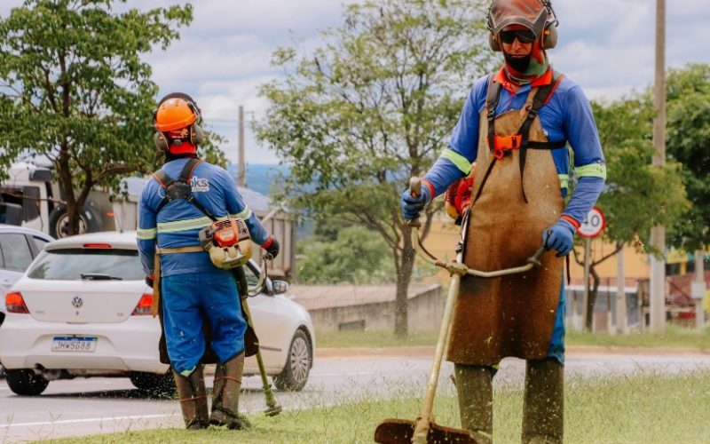 Manutenção urbana avança com roçagem e poda nas avenidas Dom Emanuel e Progresso