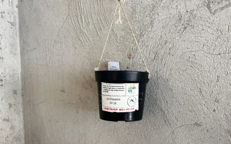 Ovitrampas retiram mais de 218 mil ovos do Aedes aegypti e acendem alerta para dengue em Senador Canedo