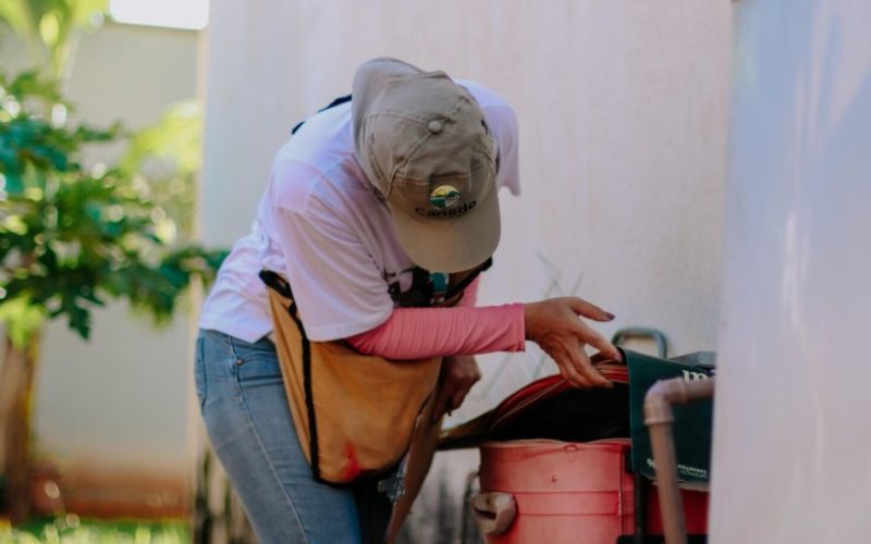 Senador Canedo intensifica ações e retira mais de 50 mil ovos do mosquito da dengue em 2026