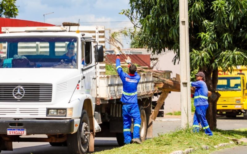 Roçagem reforça limpeza e segurança em avenidas de Senador Canedo